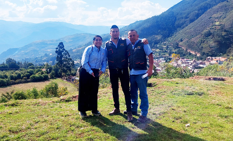 Consultoría ambiental