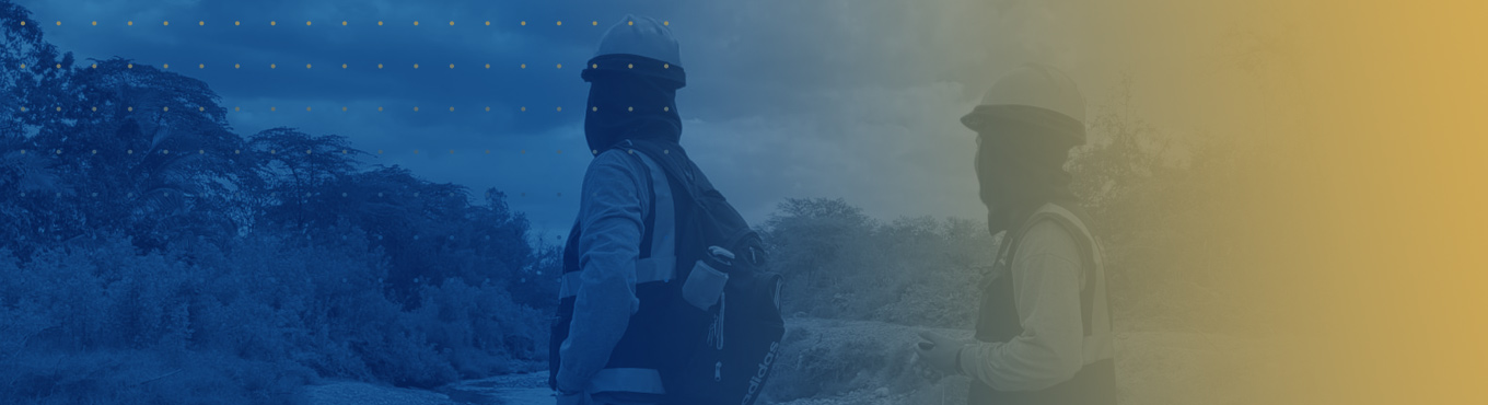 Consultoría ambiental